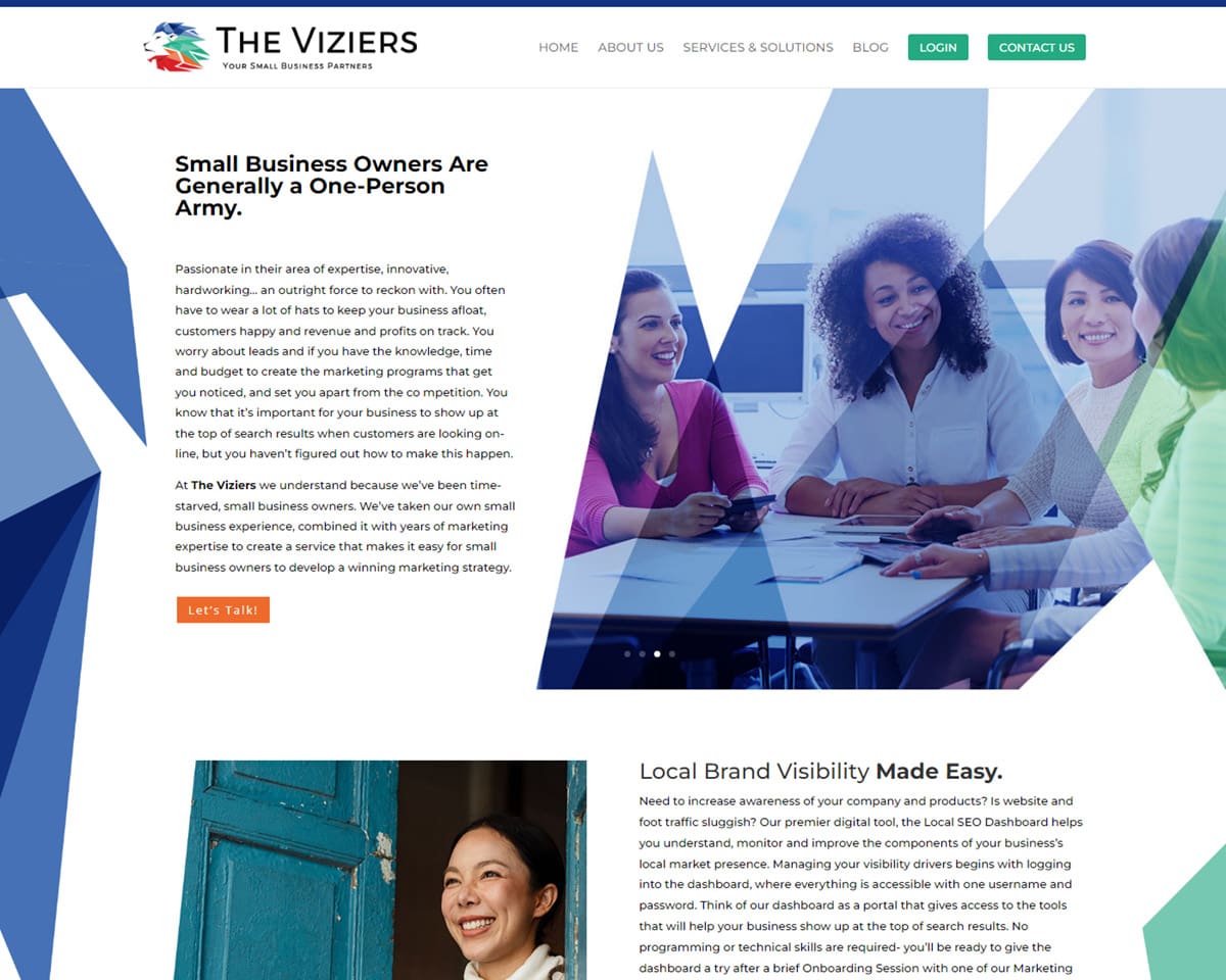 website design The Viziers