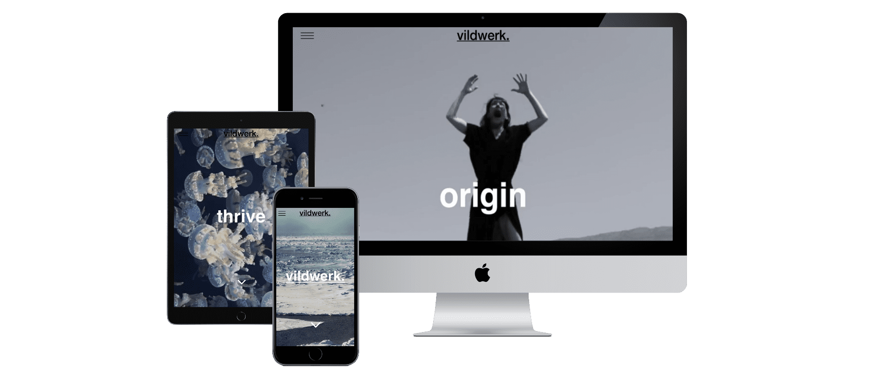 website design vildwerk