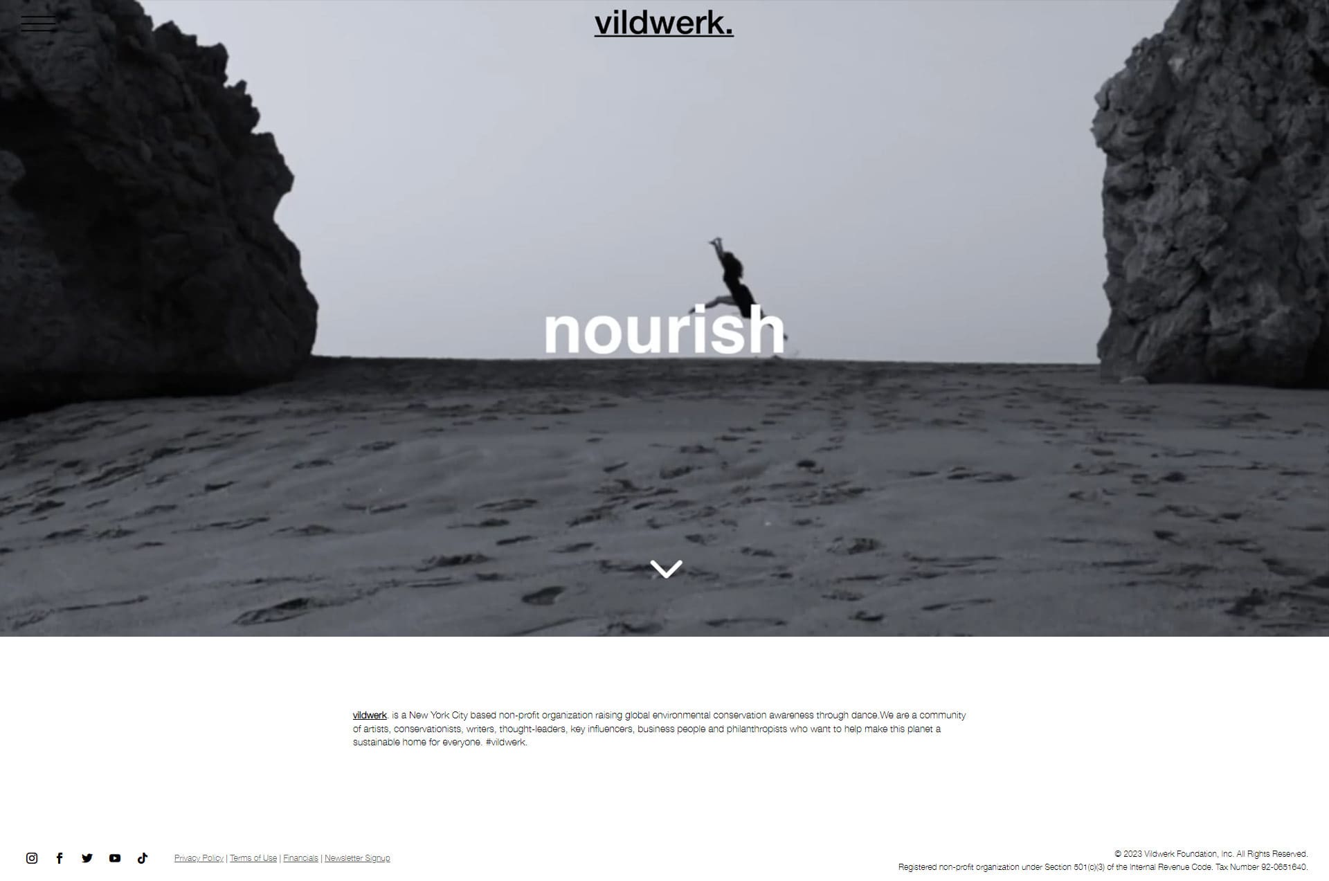 website design vildwerk