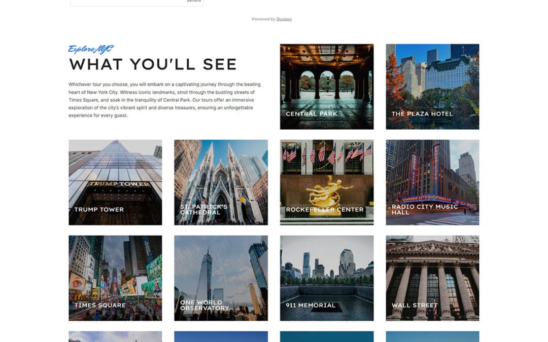 Website Design Tims Nyc Tours 2
