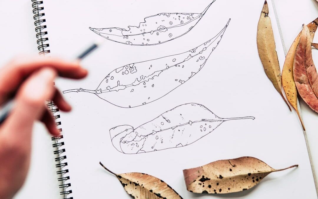 Photo Custom Illustrations