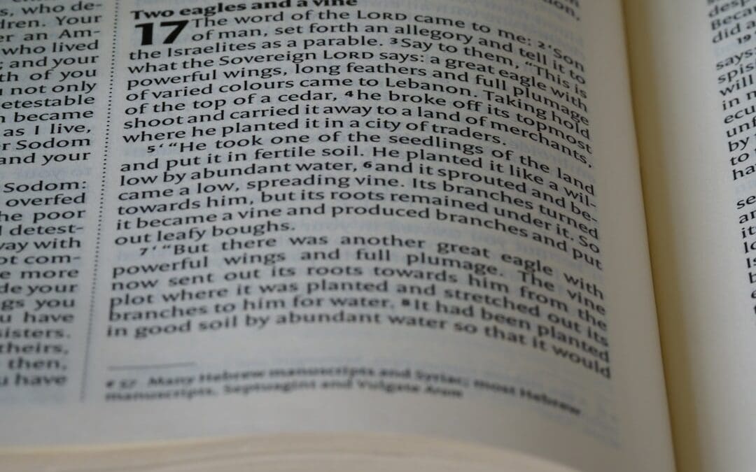Photo Keyword Research